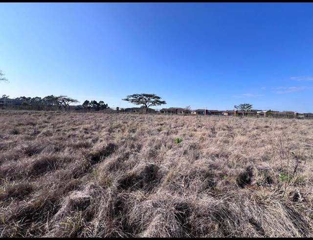LAND FOR SALE IN WILLOWTON